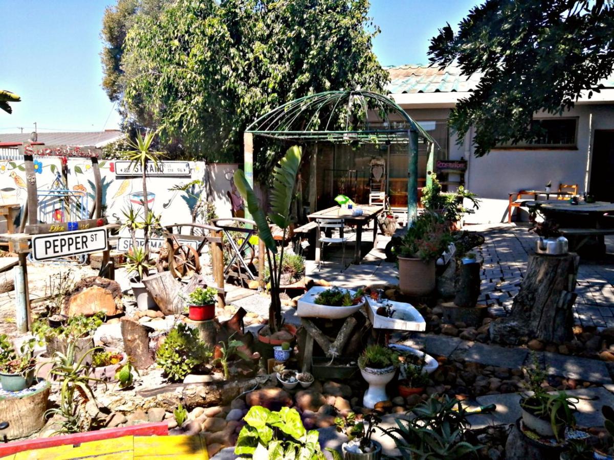 Suzie'S Coffee Shop Accommodation Bellville Exterior foto